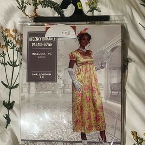 Regency / Bridgerton Dress / Gown Halloween Costume